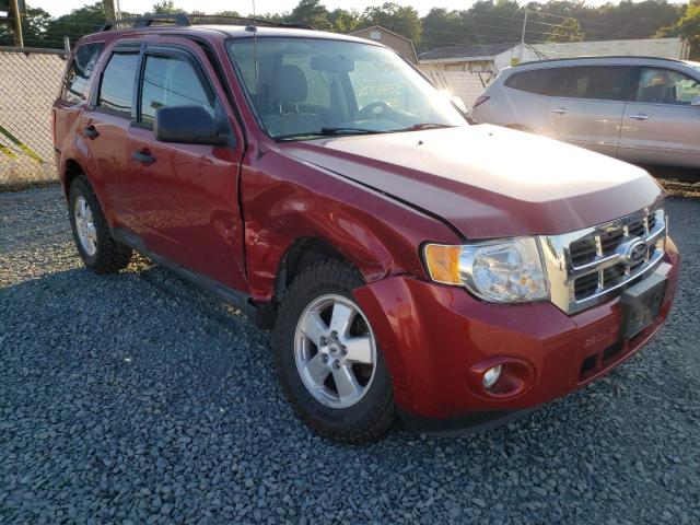 Photo 1 from auction – 2011 FORD ESCAPE XLT with VIN 1FMCU0DGXBKA25208