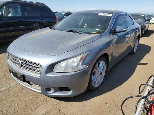 Photo 2 from auction – 2011 NISSAN MAXIMA S with VIN 1N4AA5AP5BC836419
