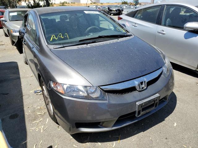 HONDA CIVIC LX 2010 with VIN 19XFA1F51AE037597 - Photo from auction