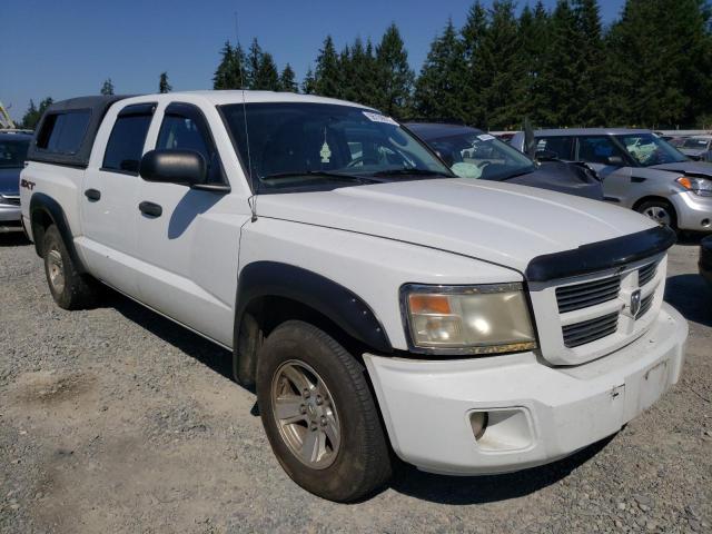 DODGE DAKOTA SXT 2008 with VIN 1D3HW38N88S513071 - Photo from auction