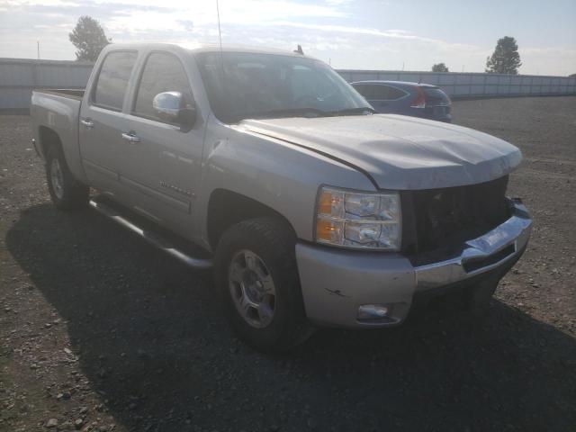 CHEVROLET SILVERADO 2009 with VIN 3GCEK23349G128509 - Photo from auction