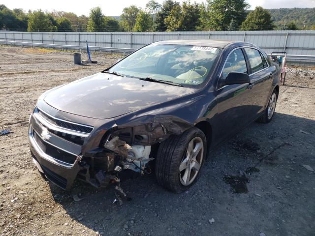 Photo 2 from auction – 2011 CHEVROLET MALIBU LS with VIN 1G1ZA5EU2BF310334