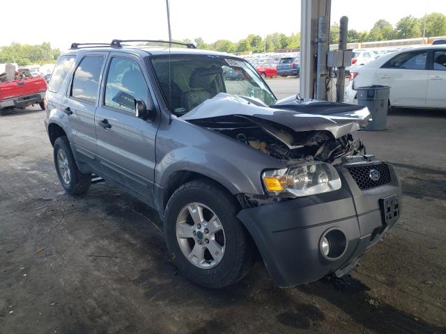 FORD ESCAPE XLT 2007 with VIN 1FMCU93177KB33407 - Photo from auction