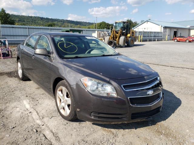 CHEVROLET MALIBU LS 2011 with VIN 1G1ZA5EU2BF310334 - Photo from auction