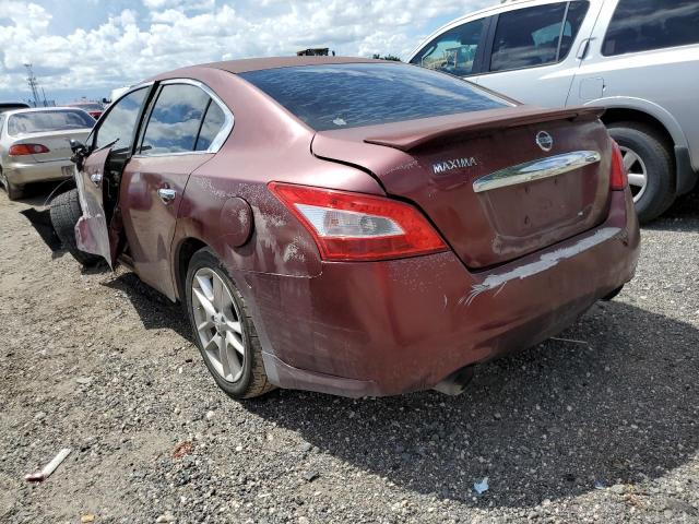 Photo 3 from auction – 2010 NISSAN MAXIMA S with VIN 1N4AA5APXAC833157