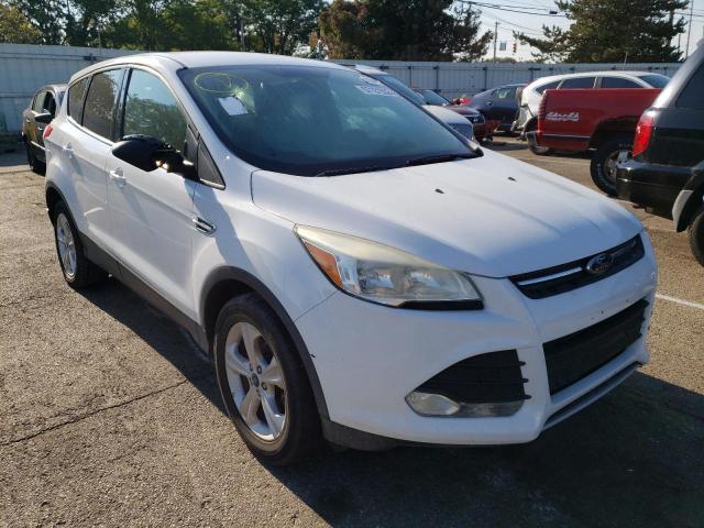 Photo 1 from auction – 2014 FORD ESCAPE SE with VIN 1FMCU0GX0EUA86698