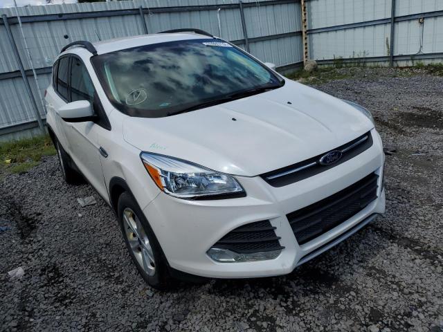 FORD ESCAPE SE 2016 with VIN 1FMCU0GX8GUA91747 - Photo from auction