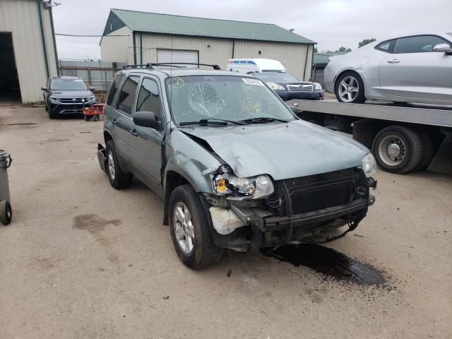 FORD ESCAPE XLT 2006 with VIN 1FMYU93176KD13295 - Photo from auction