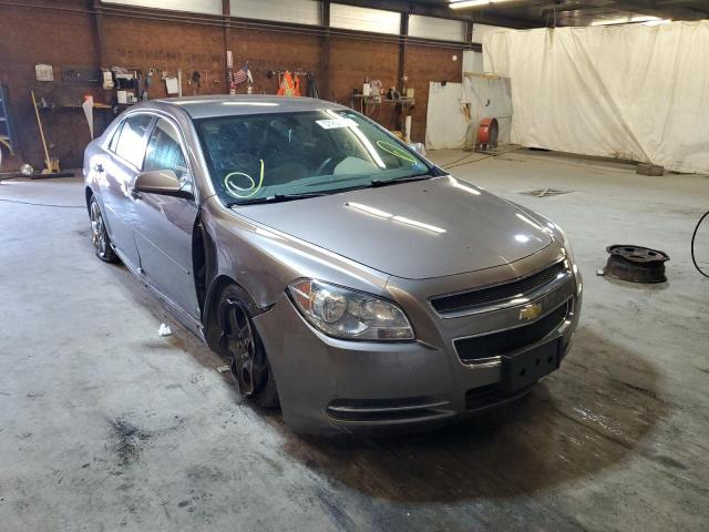 CHEVROLET MALIBU 1LT 2010 with VIN 1G1ZC5EB3AF141786 - Photo from auction