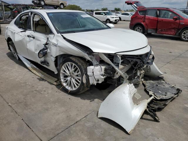 TOYOTA CAMRY XLE 2020 with VIN 4T1F31AK9LU016407 - Photo from auction