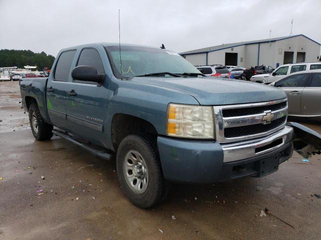 CHEVROLET SILVERADO 2009 with VIN 3GCEK13C49G290621 - Photo from auction