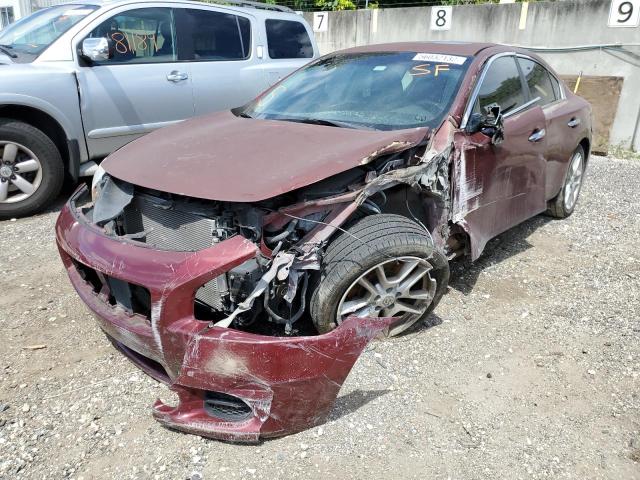 Photo 2 from auction – 2010 NISSAN MAXIMA S with VIN 1N4AA5APXAC833157