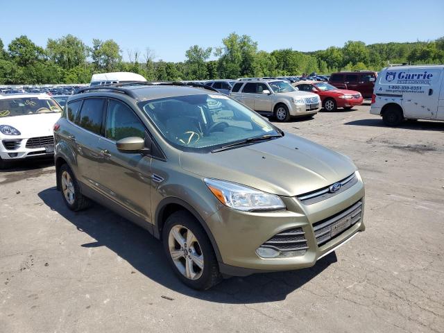 FORD ESCAPE 2013 z numerem VIN 1FMCU0GX5DUB19936 - Zdjęcie z aukcji