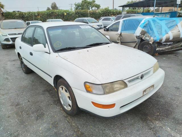 TOYOTA COROLLA DX 1996 with VIN 1NXBB02E5TZ369165 - Photo from auction