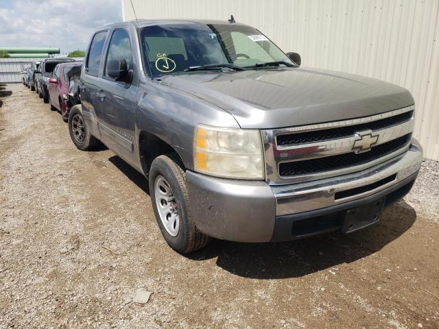 CHEVROLET SILVERADO 2009 with VIN 3GCEC13C39G247496 - Photo from auction