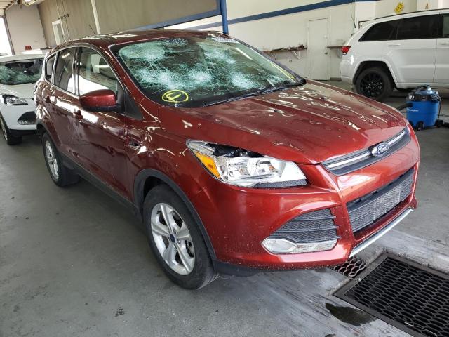 FORD ESCAPE SE 2014 with VIN 1FMCU9GX2EUC37982 - Photo from auction