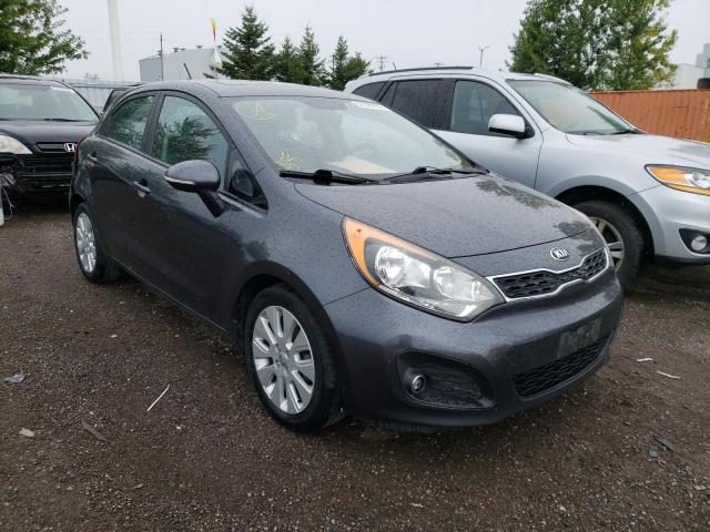 KIA RIO EX 2013 with VIN KNADN5A35D6865071 - Photo from auction
