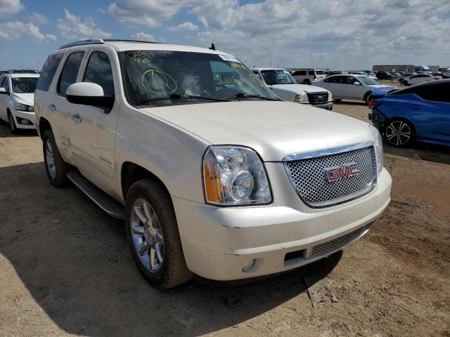 GMC YUKON DENA 2010 with VIN 1GKUKEEF4AR144125 - Photo from auction