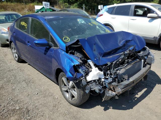 KIA FORTE LX 2018 with VIN 3KPFL4A73JE198523 - Photo from auction