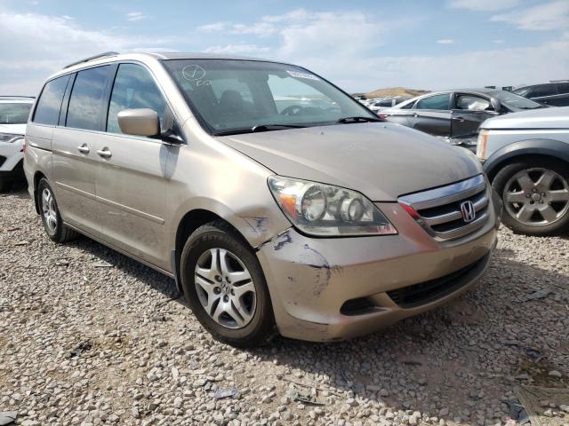HONDA ODYSSEY EX 2005 with VIN 5FNRL38785B128139 - Photo from auction