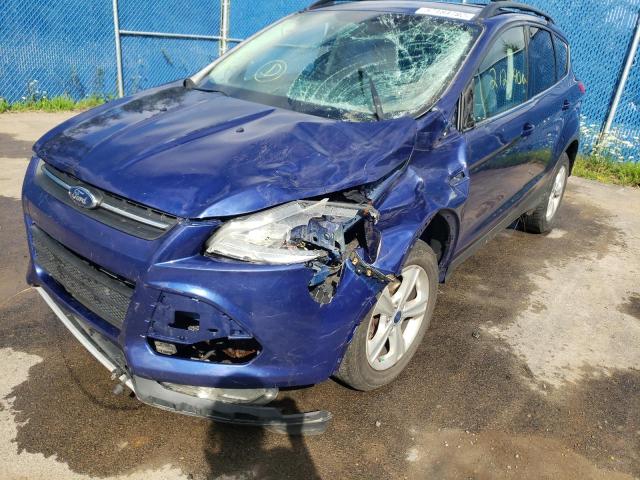 Photo 9 from auction – 2014 FORD ESCAPE SE with VIN 1FMCU0GX2EUA25000