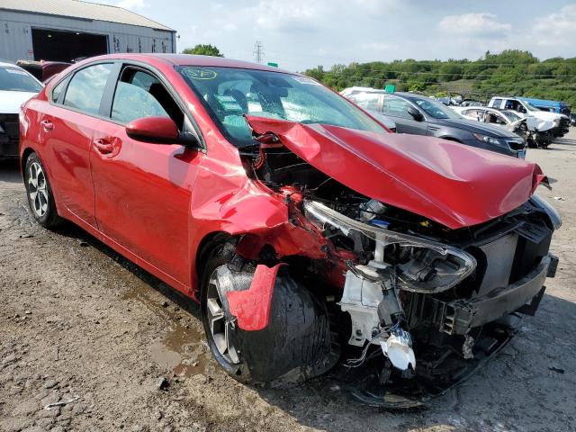 KIA FORTE FE 2019 with VIN 3KPF24ADXKE091785 - Photo from auction