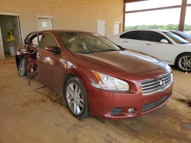 NISSAN MAXIMA S 2011 with VIN 1N4AA5AP6BC814736 - Photo from auction