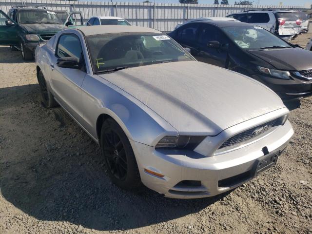 FORD MUSTANG 2014 with VIN 1ZVBP8AM4E5278699 - Photo from auction