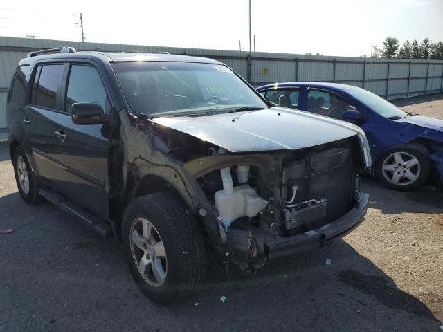 HONDA PILOT EXL 2011 with VIN 5FNYF4H62BB053899 - Photo from auction