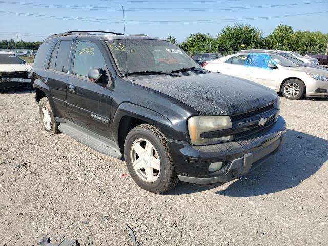 CHEVROLET TRAILBLAZE 2002 with VIN 1GNDT13SX22222474 - Photo from auction