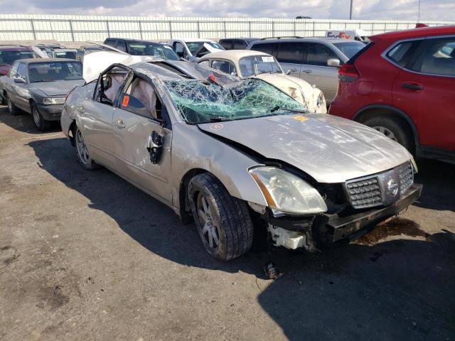 NISSAN MAXIMA SE 2006 z numerem VIN 1N4BA41E86C857770 - Zdjęcie z aukcji