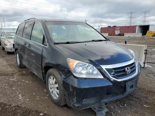HONDA ODYSSEY VA 2008 with VIN 5FNRL38748B017205 - Photo from auction