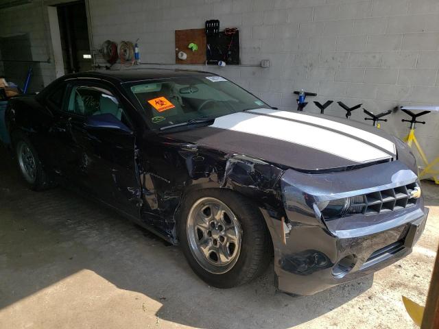 CHEVROLET CAMARO LS 2013 with VIN 2G1FA1E34D9168437 - Photo from auction
