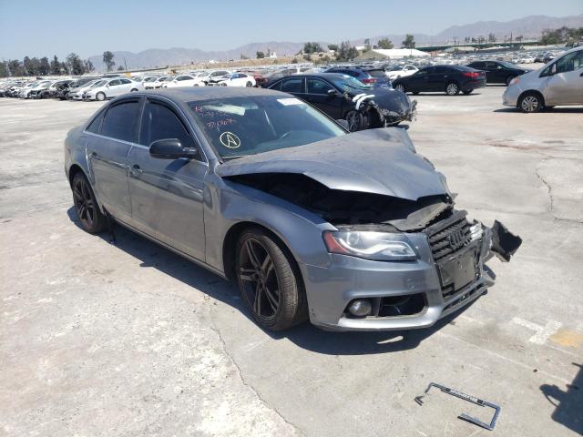 AUDI A4 PREMIUM 2012 with VIN WAUAFAFLXCA029771 - Photo from auction