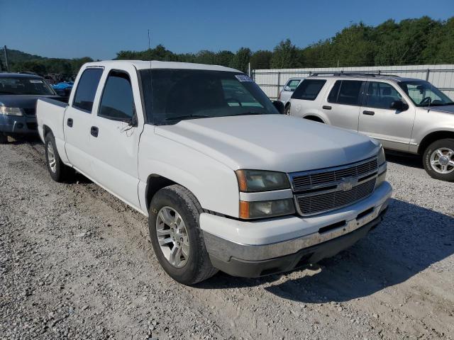 CHEVROLET SILVERADO 2006 with VIN 2GCEC13T461211420 - Photo from auction
