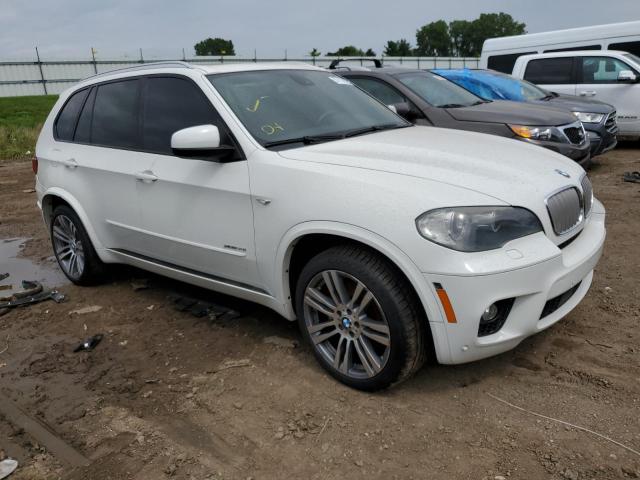 BMW X5 XDRIVE5 2011 with VIN 5UXZV8C53BL418499 - Photo from auction