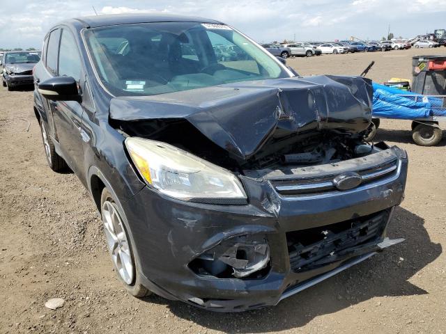 FORD ESCAPE SEL 2013 with VIN 1FMCU0HX8DUB24305 - Photo from auction