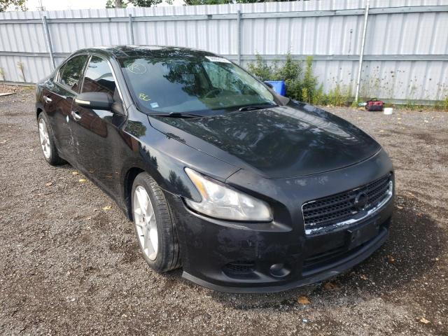 NISSAN MAXIMA S 2009 with VIN 1N4AA51E19C808349 - Photo from auction
