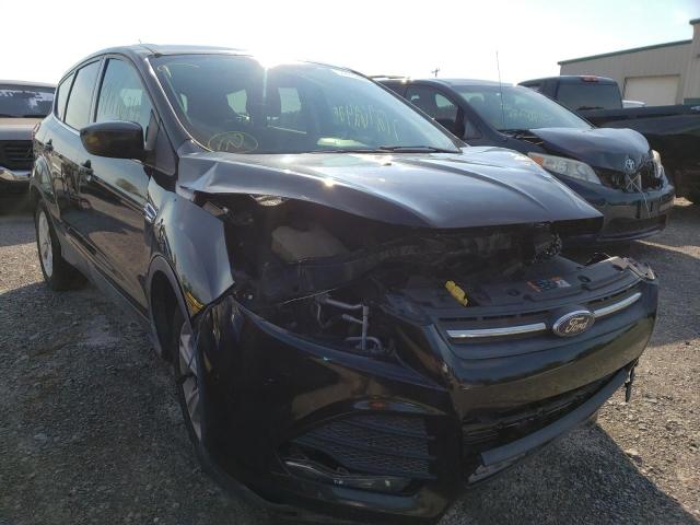 FORD ESCAPE SE 2014 مع رقم تعريف المركبة 1FMCU0G96EUC48917 - صورة من المزاد