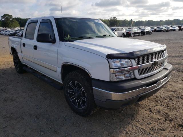 CHEVROLET SILVERADO2 2005 with VIN 2GCEC13T851343353 - Photo from auction