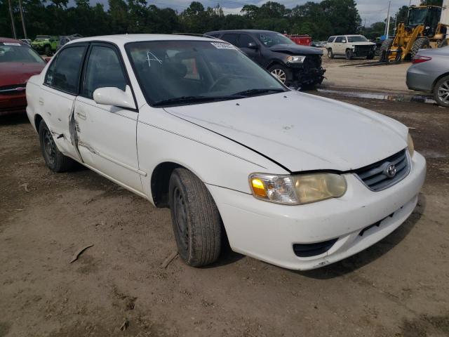 TOYOTA COROLLA CE 2001 with VIN 1NXBR12E41Z535335 - Photo from auction