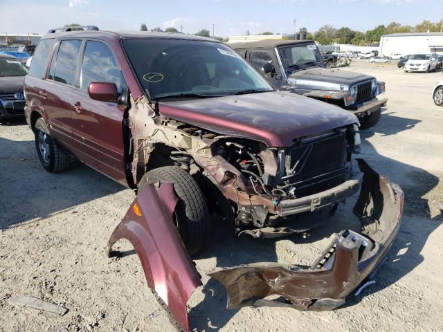 HONDA PILOT EXL 2007 with VIN 5FNYF28707B026401 - Photo from auction