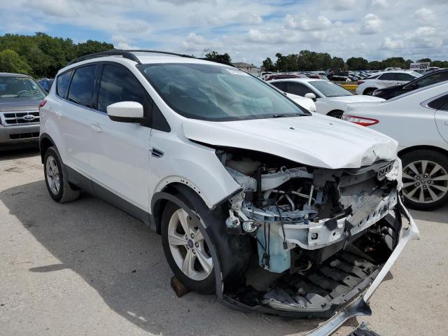 FORD ESCAPE SE 2013 with VIN 1FMCU0GX7DUB56499 - Photo from auction