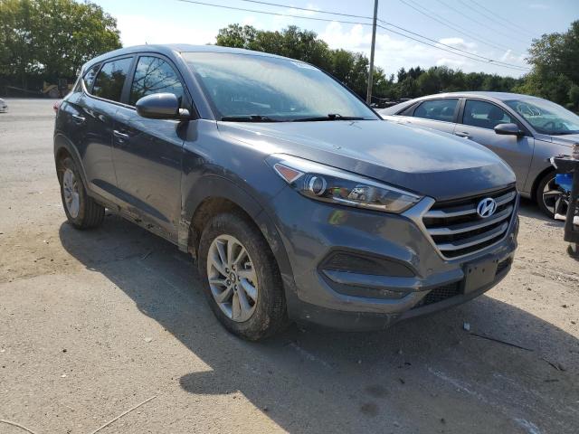 HYUNDAI TUCSON SE 2018 with VIN KM8J2CA46JU823992 - Photo from auction