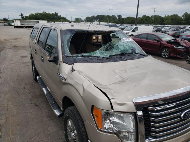 Photo 9 from auction – 2010 FORD F150 SUPER with VIN 1FTFW1EV0AFD54229