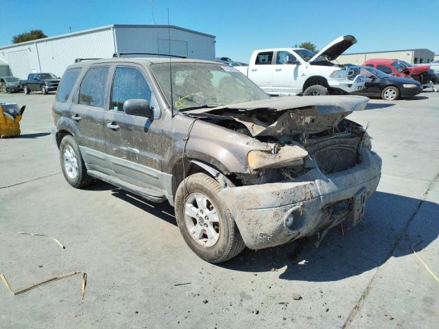 FORD ESCAPE XLT 2007 with VIN 1FMYU03127KC05034 - Photo from auction