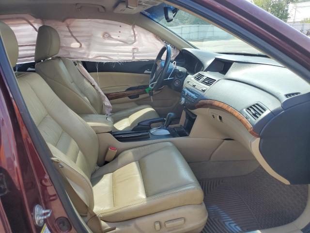 Photo 5 from auction – 2011 HONDA ACCORD EXL with VIN 1HGCP2F82BA051001