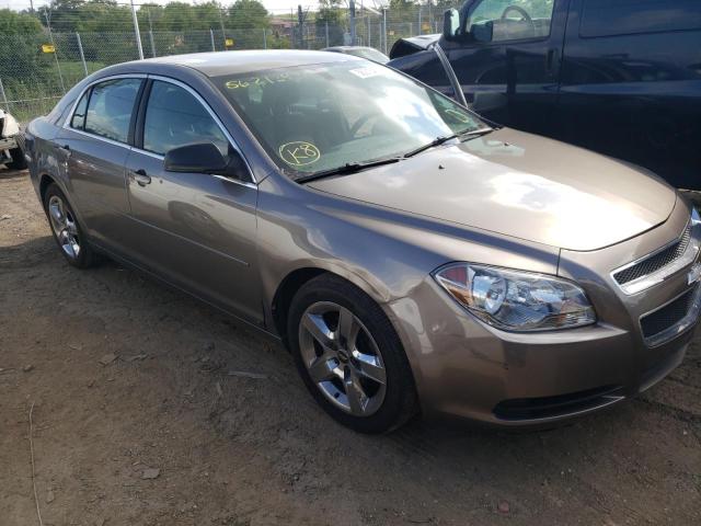CHEVROLET MALIBU LS 2012 with VIN 1G1ZB5E08CF294264 - Photo from auction