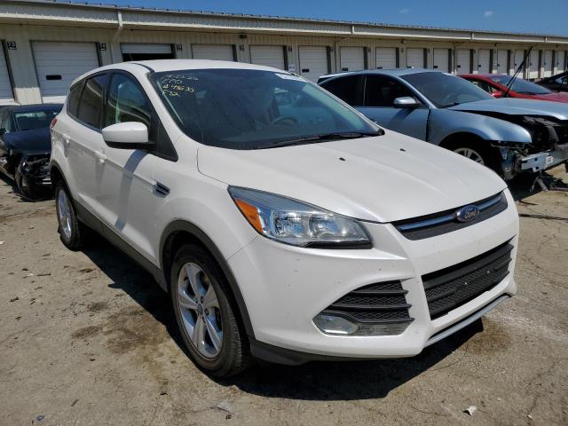 FORD ESCAPE SE 2013 with VIN 1FMCU9GX8DUB94103 - Photo from auction