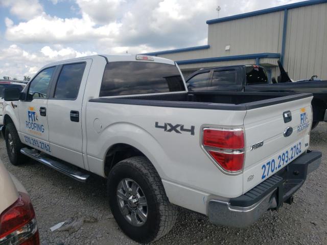 Photo 3 from auction – 2010 FORD F150 SUPER with VIN 1FTFW1EV8AFC21637